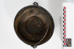 Foto von Bronzerippenziste (NHMW-PRAE-025670)
